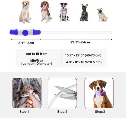 Light Up Dog Collar, USB Rechargeable, LED, Green+Blue