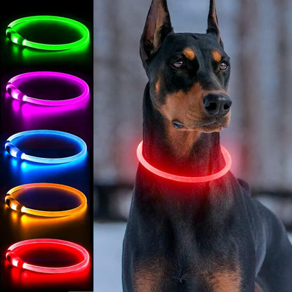 Light Up Dog Collar, USB Rechargeable, LED, Green+Blue