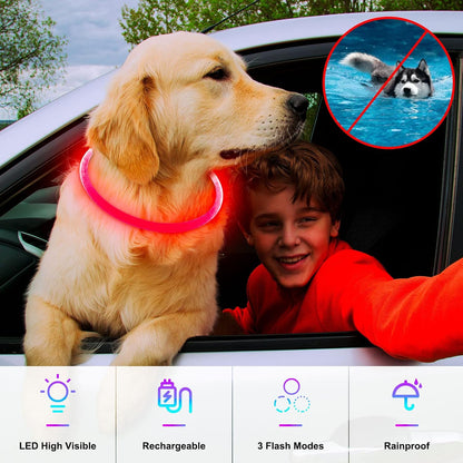 Light Up Dog Collar, USB Rechargeable, LED, Green+Blue