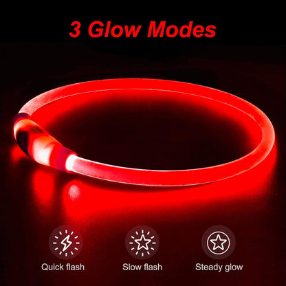 Light Up Dog Collar, USB Rechargeable, LED, Green+Blue