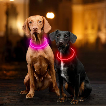 Light Up Dog Collar, USB Rechargeable, LED, Green+Blue