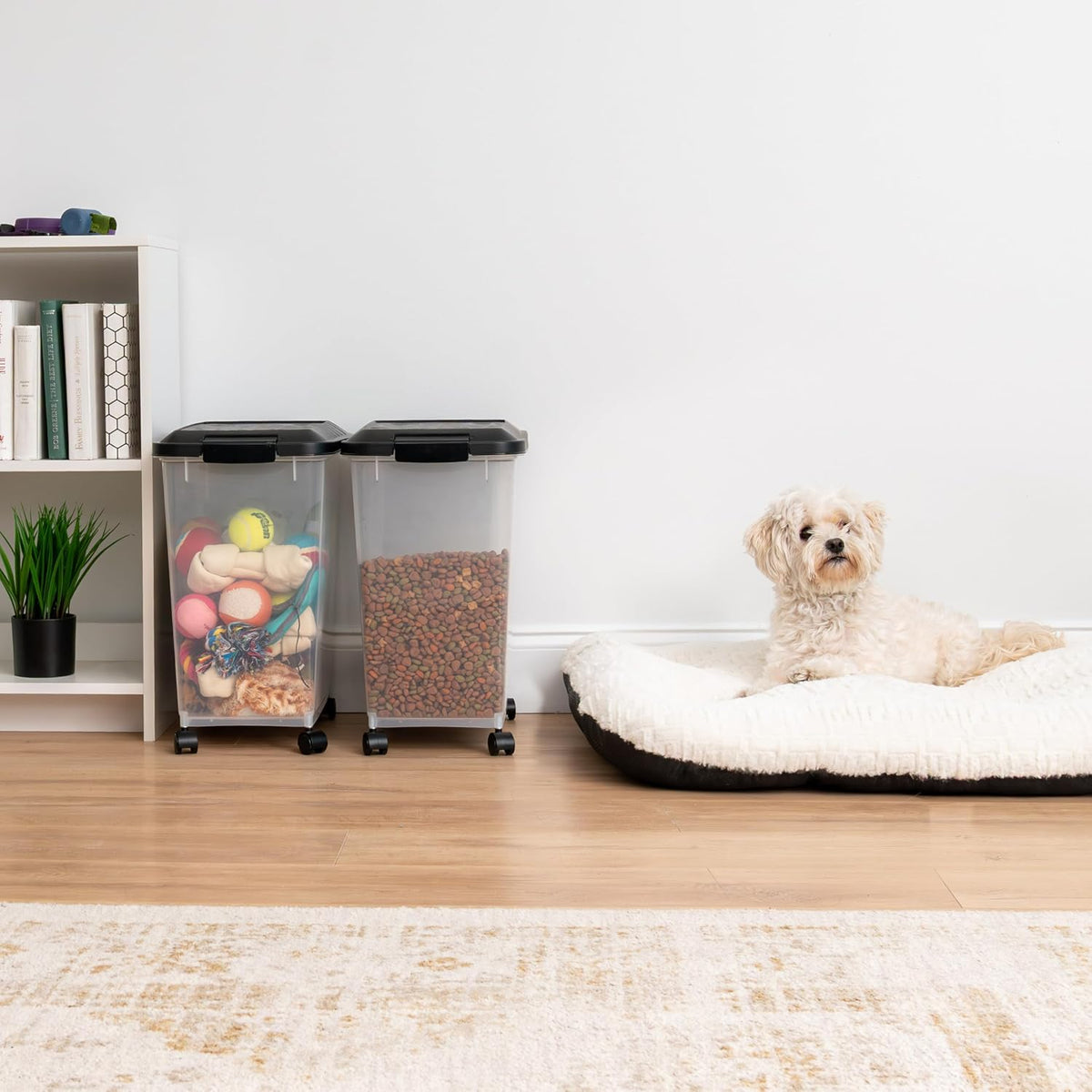 Dog Food Storage Container, Up to 30 lbs, Black