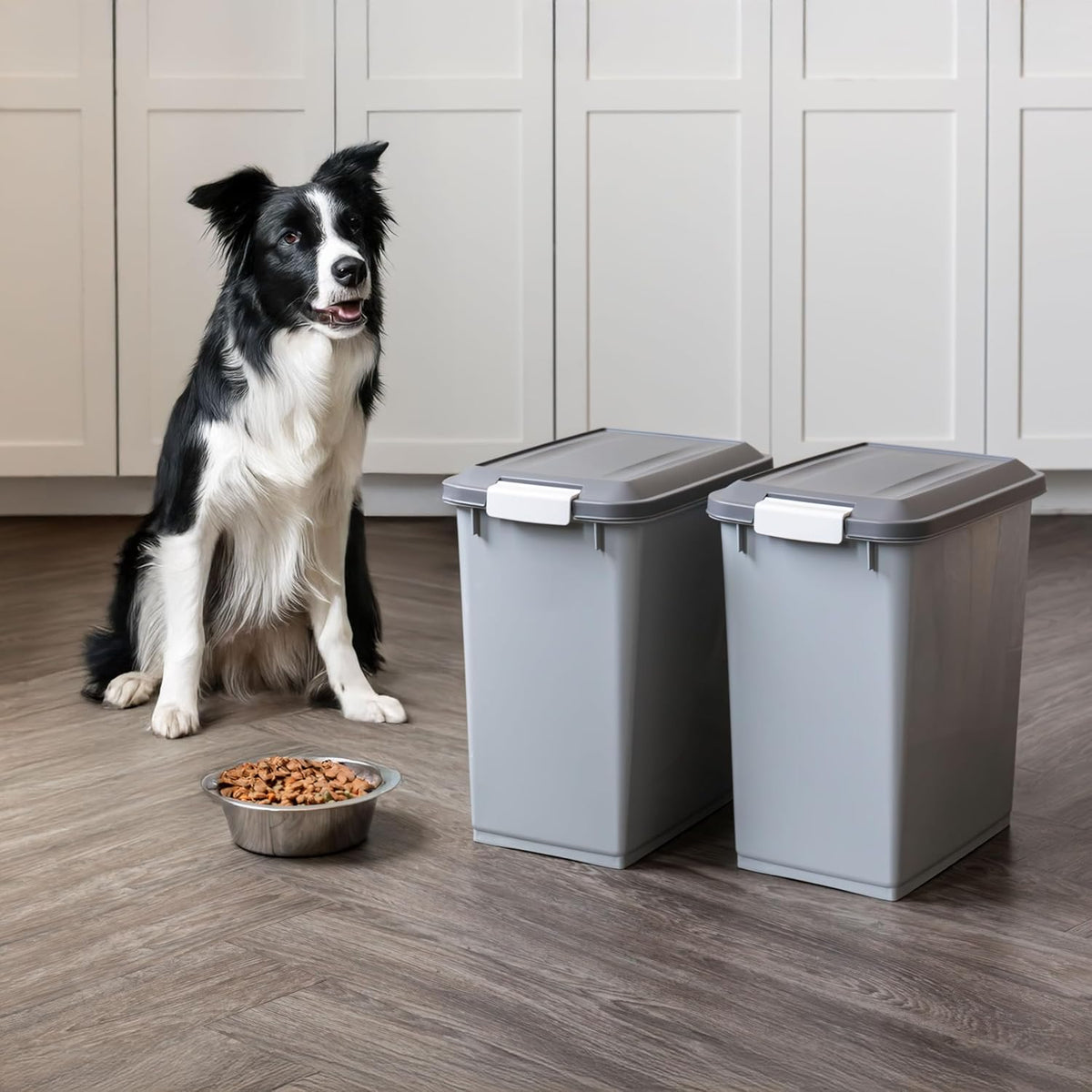 Dog Food Storage Container, Up to 30 lbs, Black