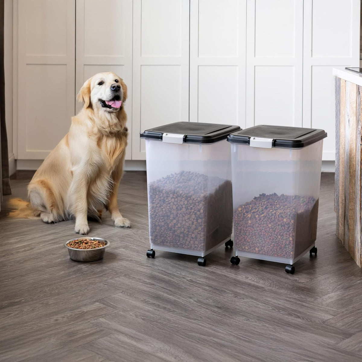 Dog Food Storage Container, Up to 30 lbs, Black