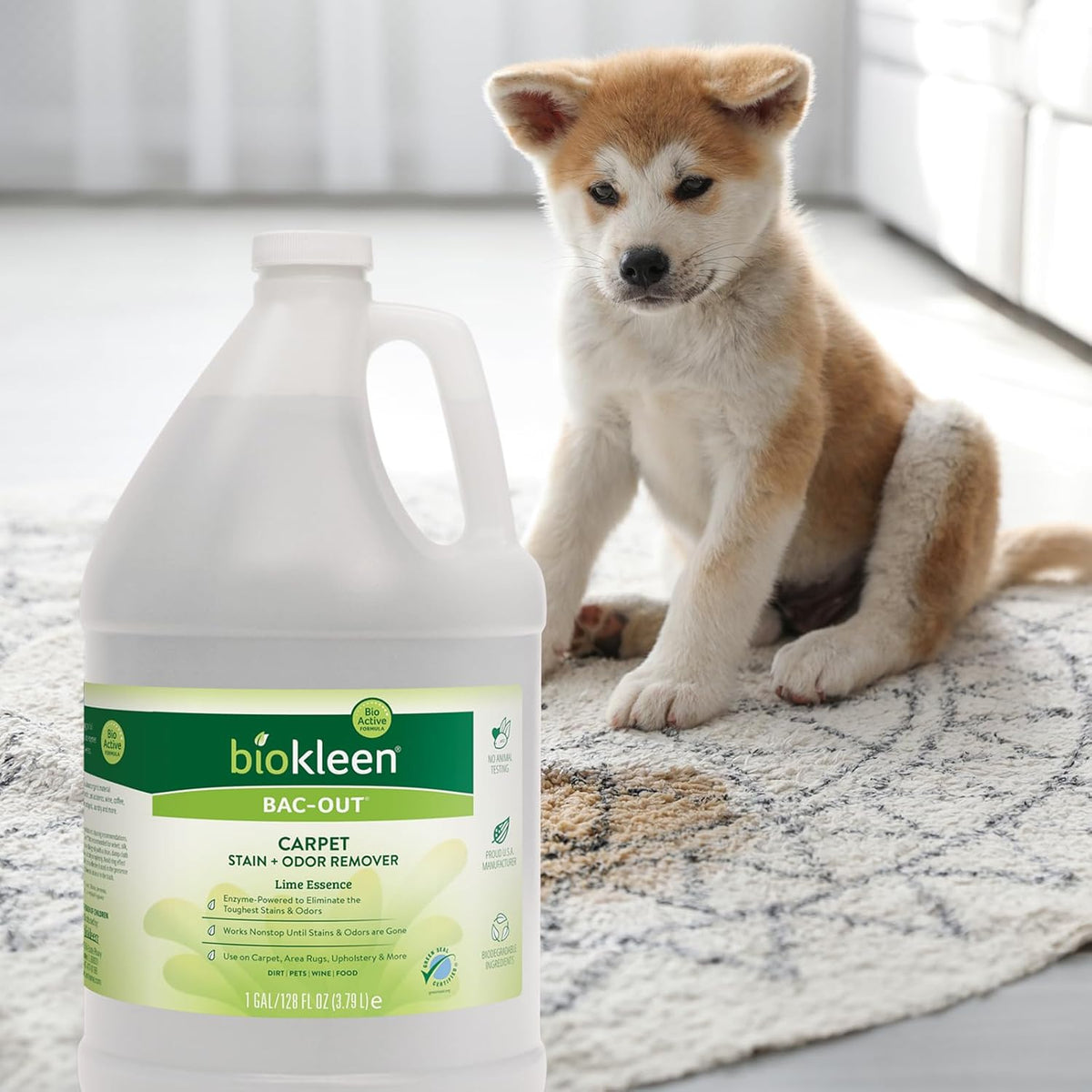Bac Out Enzyme Cleaner, Stain & Pet Odor Eliminator, Lime Scent