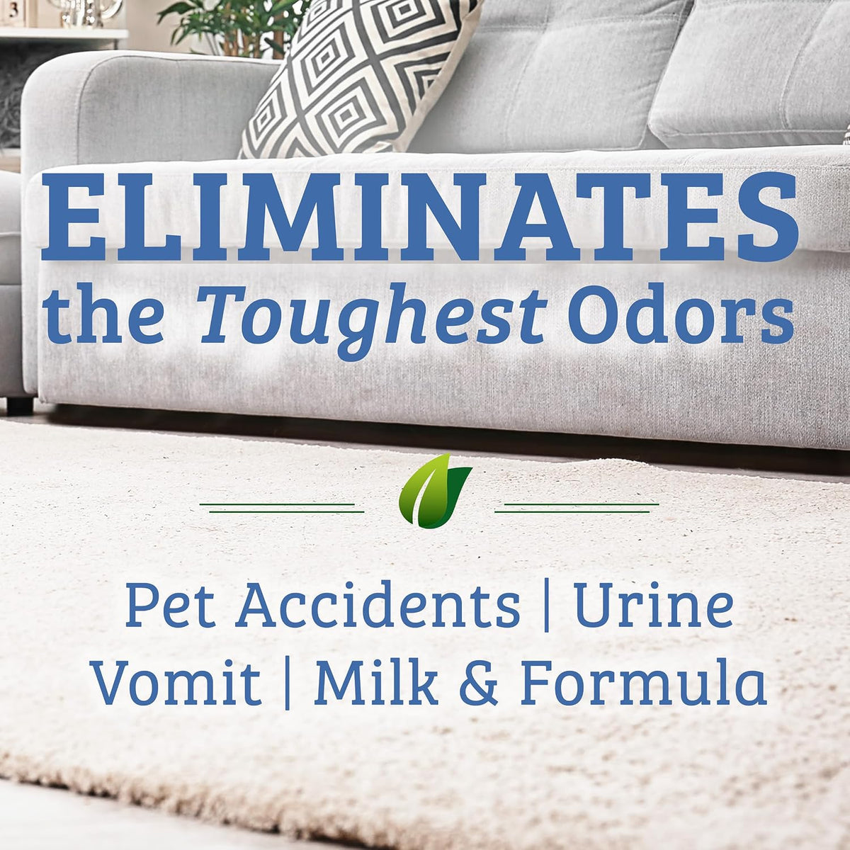 Bac Out Enzyme Cleaner, Stain & Pet Odor Eliminator, Lime Scent