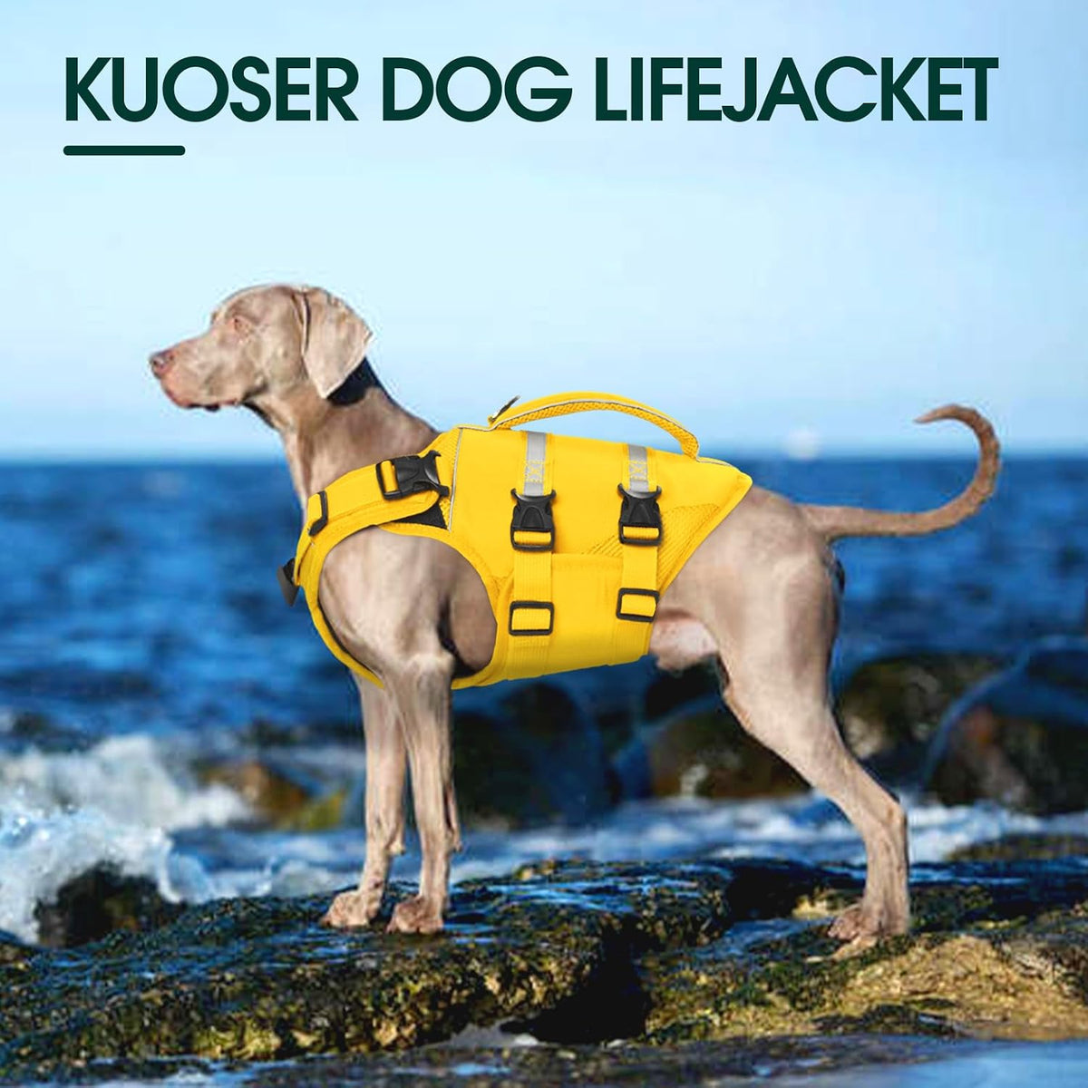 Dog Life Jacket, High Flotation Dog Life Vest for Swimming Boating
