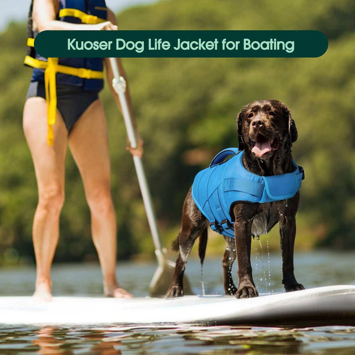 Dog Life Jacket, High Flotation Dog Life Vest for Swimming Boating
