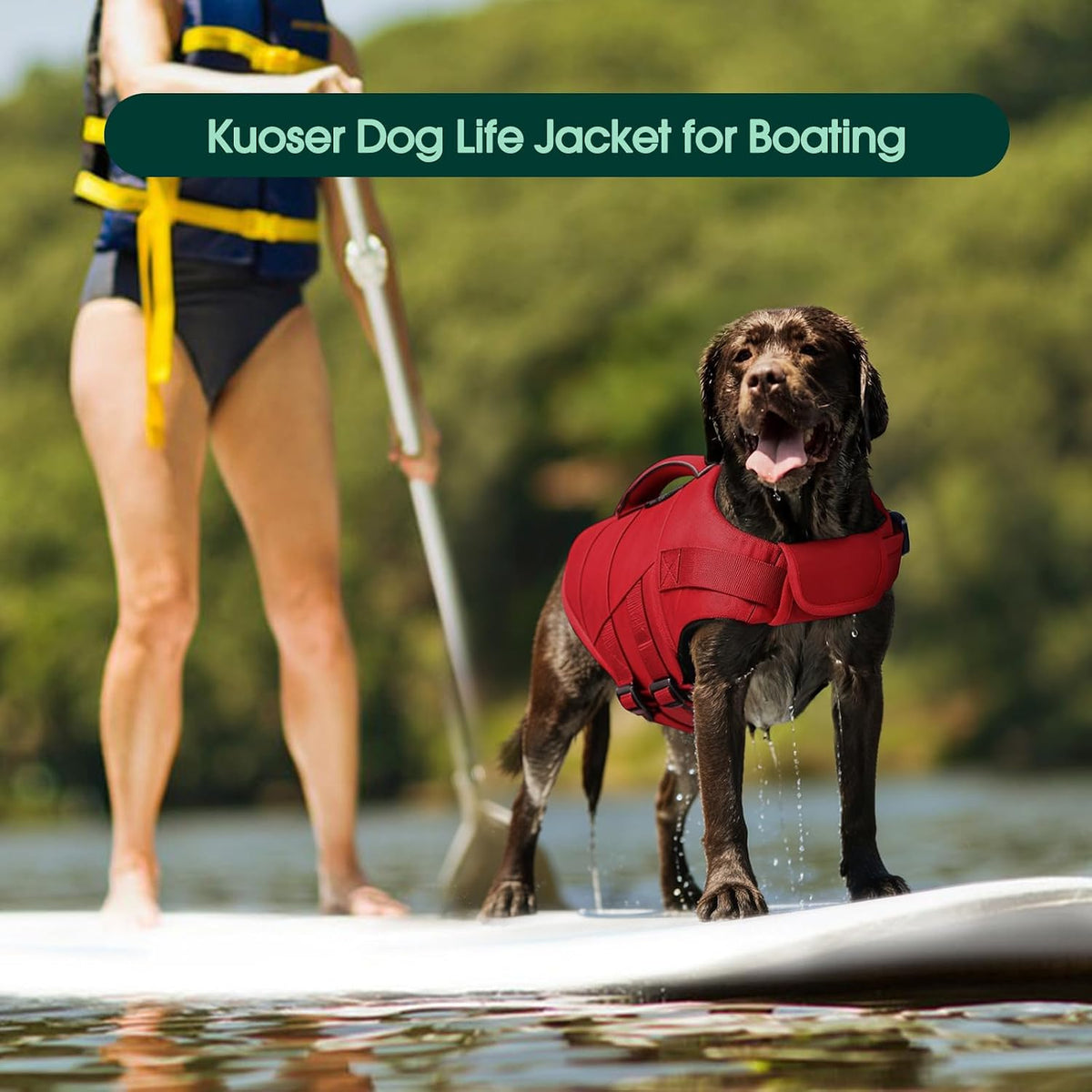 Dog Life Jacket, High Flotation Dog Life Vest for Swimming Boating