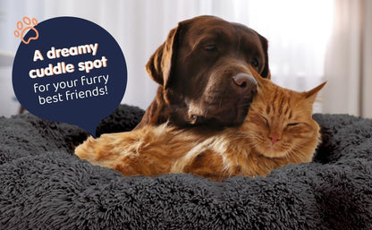 Calming Donut Dog Bed for Small Dogs, Round Dog Bed for Medium & Large Dogs