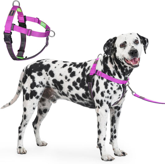Freedom No Pull Dog Harness, Purple, Large