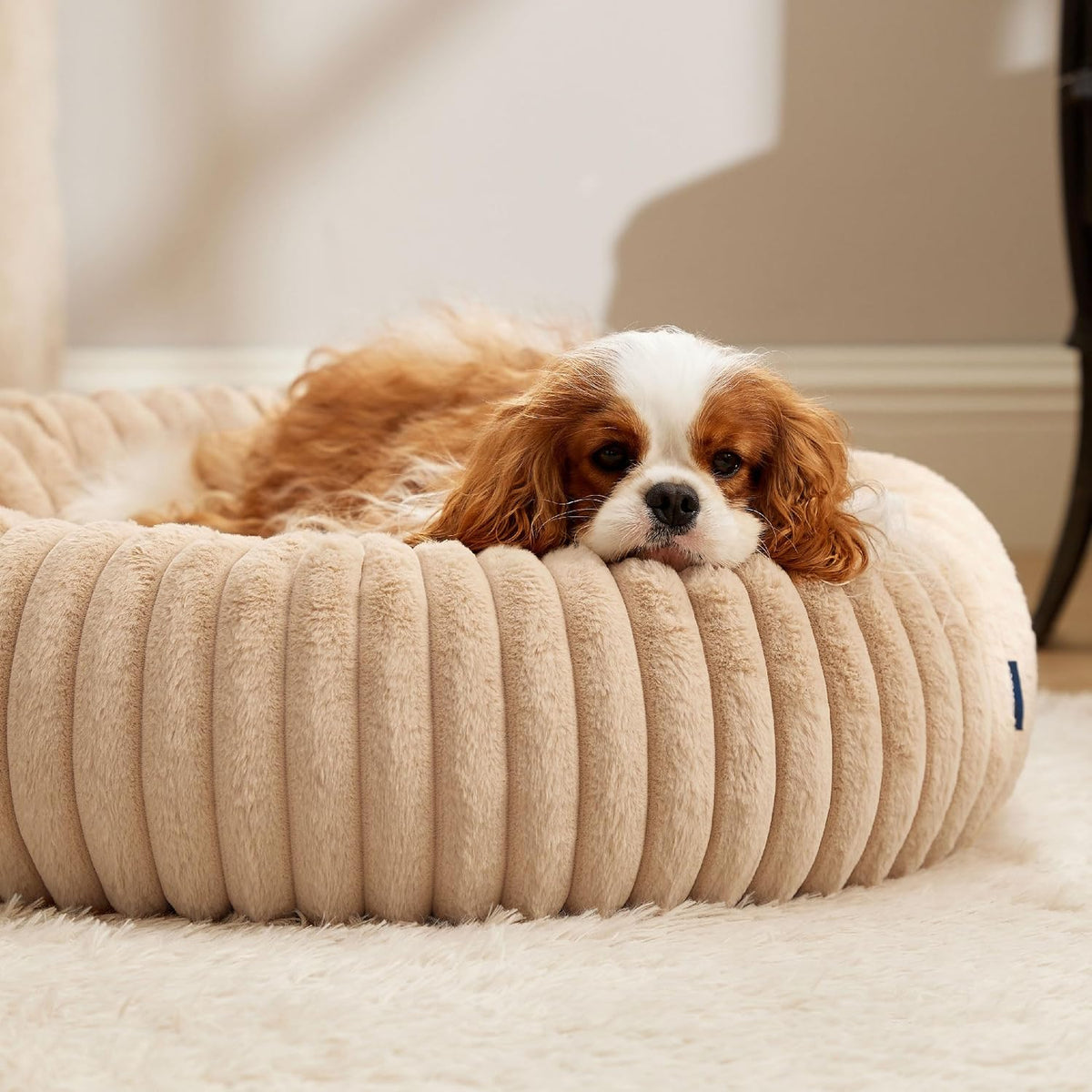 ComfyFleece® Donut Dog Bed Medium Size Dog with Washable Cover