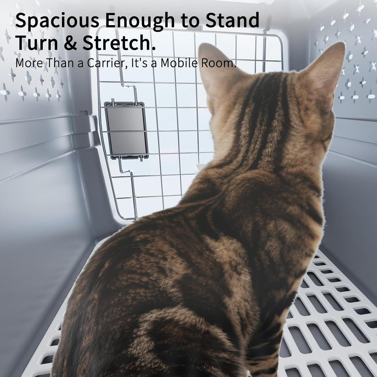 Airline-Approved Pet Carrier: Hard-Sided Crate for Cats & Dogs