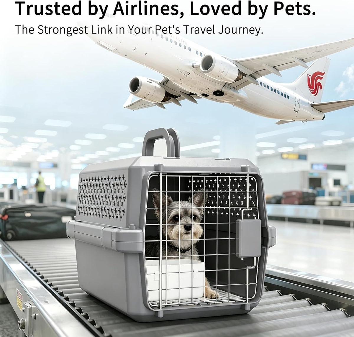Airline-Approved Pet Carrier: Hard-Sided Crate for Cats & Dogs