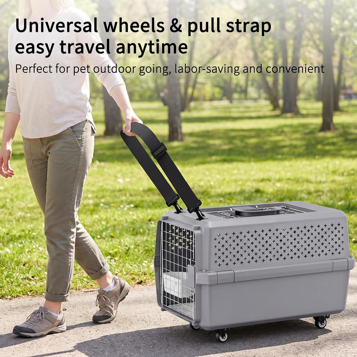 Airline-Approved Pet Carrier: Hard-Sided Crate for Cats & Dogs