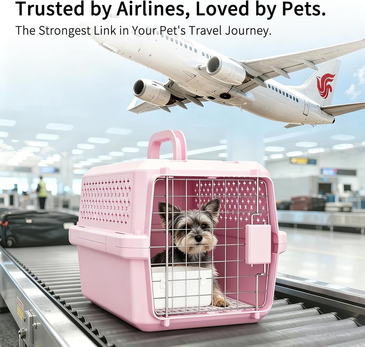 Airline-Approved Pet Carrier: Hard-Sided Crate for Cats & Dogs