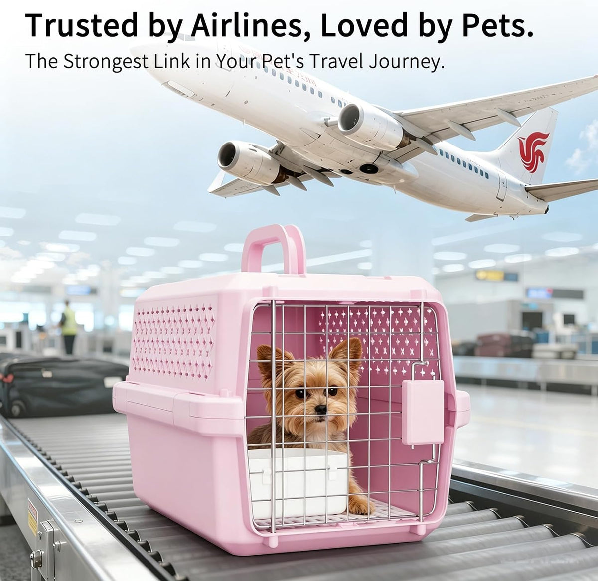 Airline-Approved Pet Carrier: Hard-Sided Crate for Cats & Dogs