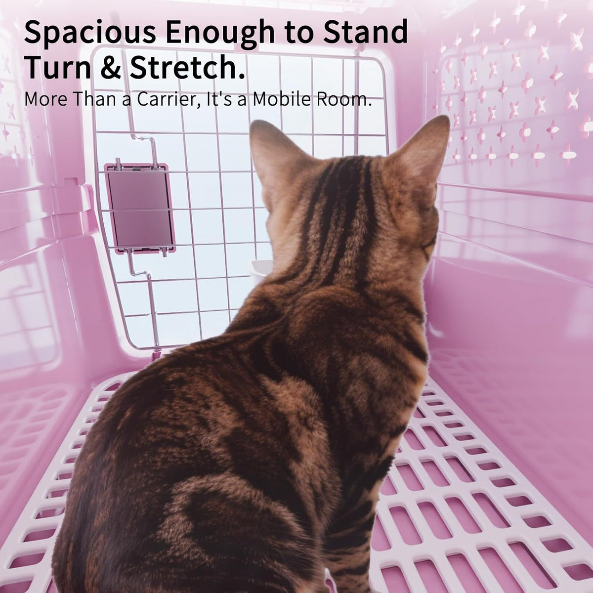 Airline-Approved Pet Carrier: Hard-Sided Crate for Cats & Dogs