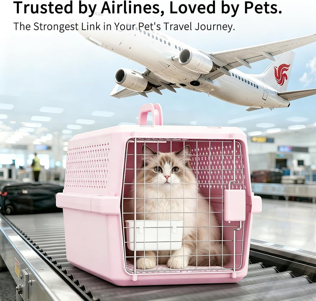 Airline-Approved Pet Carrier: Hard-Sided Crate for Cats & Dogs