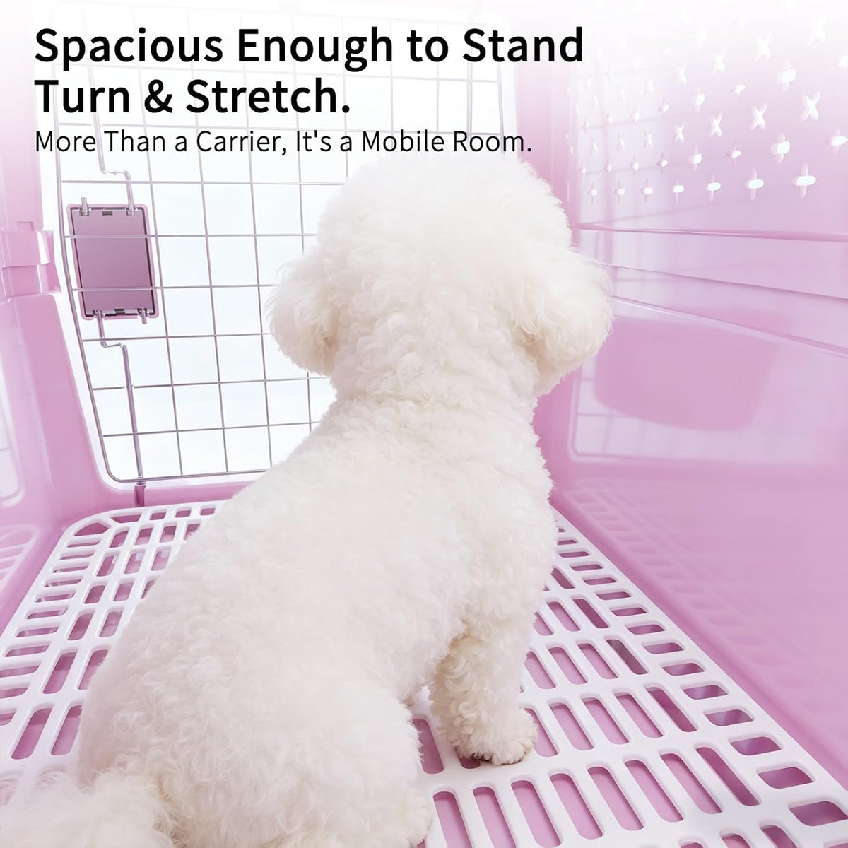 Airline-Approved Pet Carrier: Hard-Sided Crate for Cats & Dogs