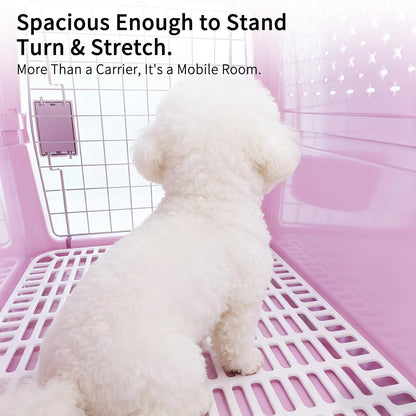 Airline-Approved Pet Carrier: Hard-Sided Crate for Cats & Dogs