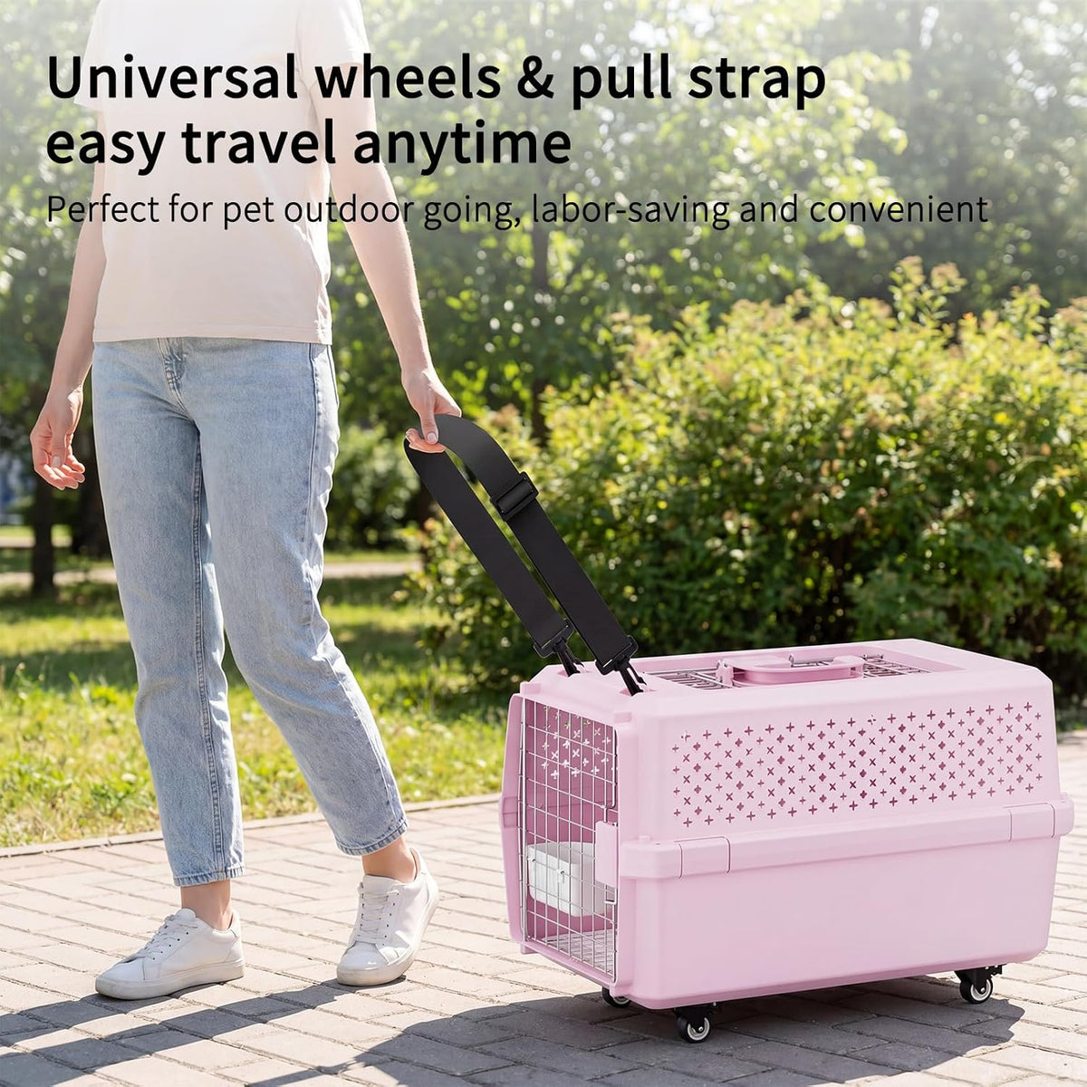 Airline-Approved Pet Carrier: Hard-Sided Crate for Cats & Dogs
