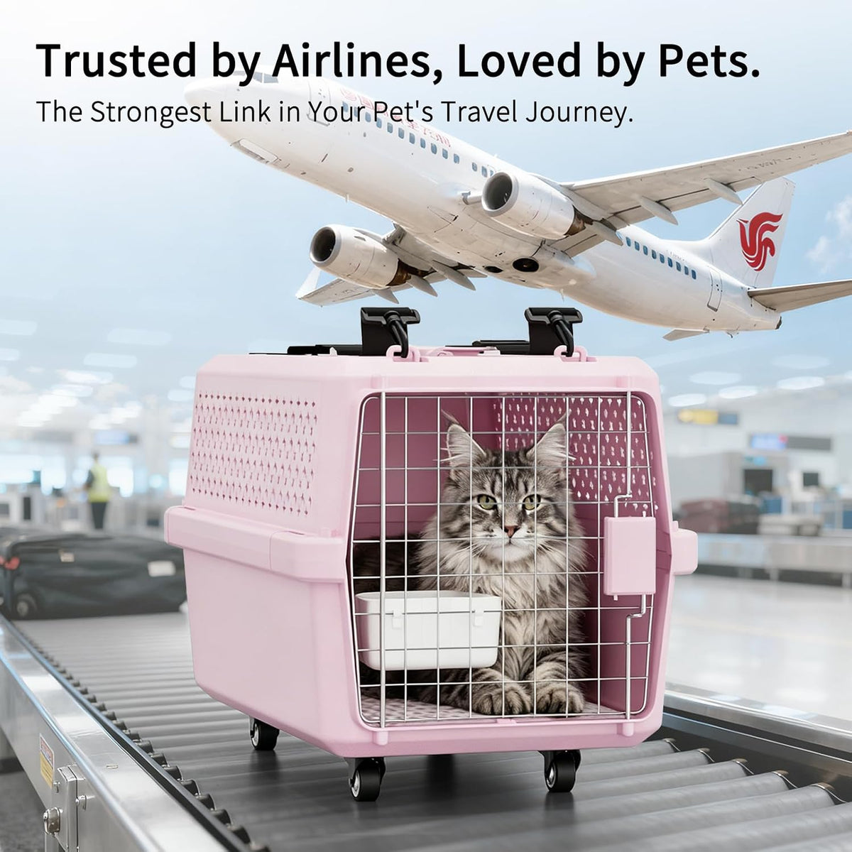 Airline-Approved Pet Carrier: Hard-Sided Crate for Cats & Dogs