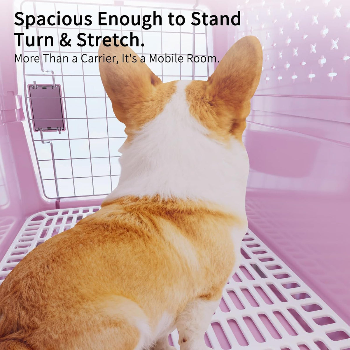 Airline-Approved Pet Carrier: Hard-Sided Crate for Cats & Dogs