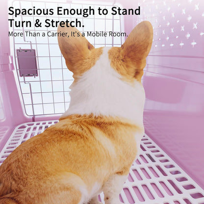 Airline-Approved Pet Carrier: Hard-Sided Crate for Cats & Dogs