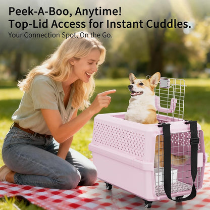 Airline-Approved Pet Carrier: Hard-Sided Crate for Cats & Dogs