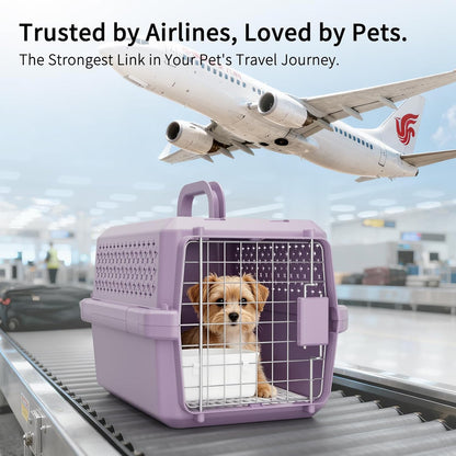 Airline-Approved Pet Carrier: Hard-Sided Crate for Cats & Dogs