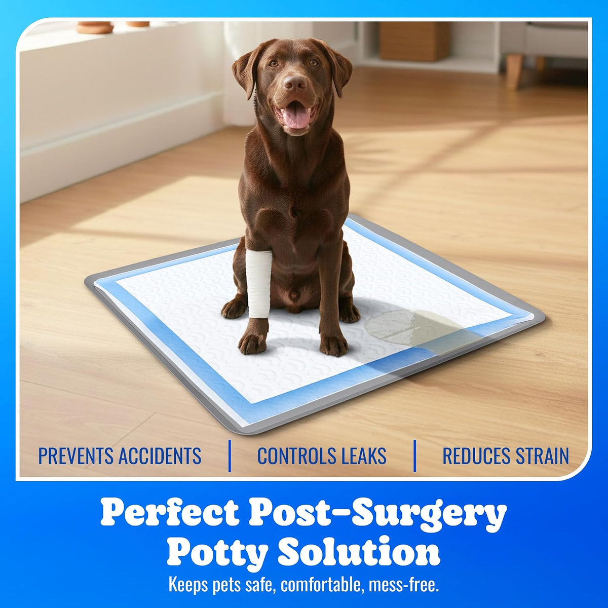 Dog Pee Pad Holder - Fits Up to 24” x 24” Pee Pad - - Dark Grey