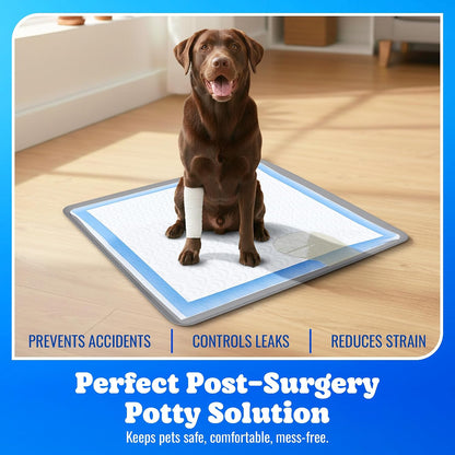 Dog Pee Pad Holder - Fits Up to 24” x 24” Pee Pad - - Dark Grey