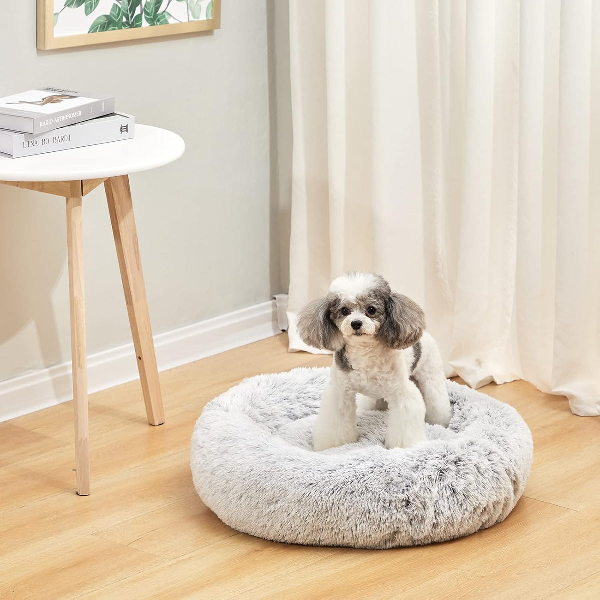 Calming Fluffy Donut Dog Bed for Large Dogs,Dark Grey, 36" Round