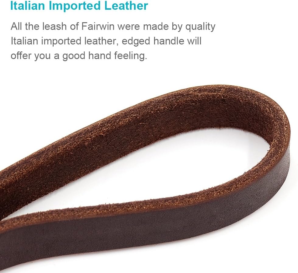 Braided Leather Dog Training Leash 6 Foot - Military Grade Heavy Duty Dog Leash for Large Medium Small Dogs (Brown, M:5/8" x 6ft)