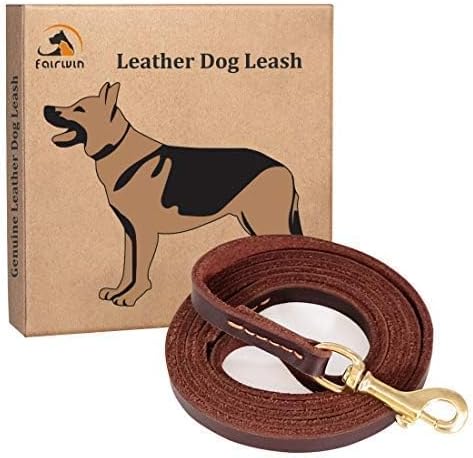 Braided Leather Dog Training Leash 6 Foot - Military Grade Heavy Duty Dog Leash for Large Medium Small Dogs (Brown, M:5/8" x 6ft)