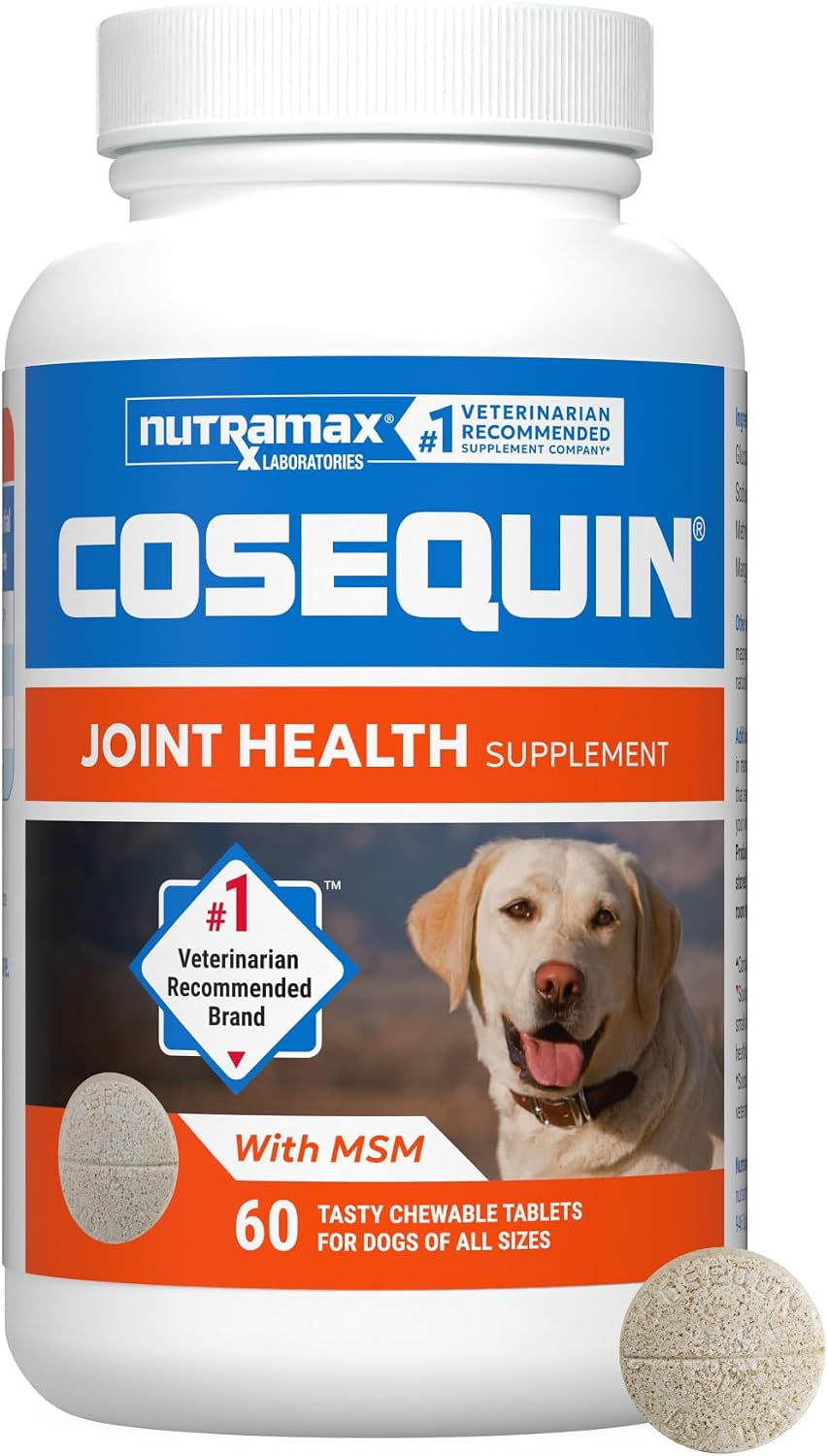 Nutramax Cosequin Joint Supplement, Glucosamine for Dogs, Chew Tabs