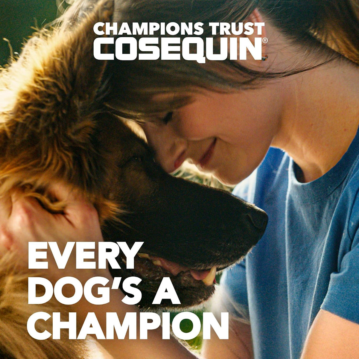 Nutramax Cosequin Joint Supplement, Glucosamine for Dogs, Chew Tabs