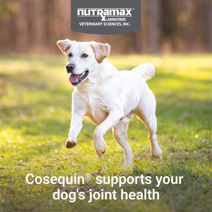 Nutramax Cosequin Joint Supplement, Glucosamine for Dogs, Chew Tabs