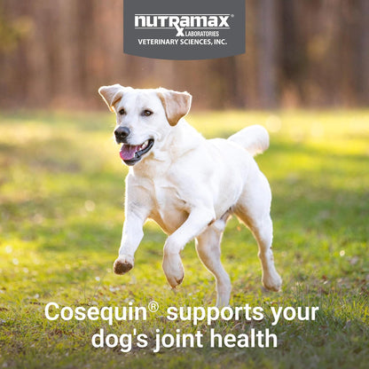 Nutramax Cosequin Joint Supplement, Glucosamine for Dogs, Chew Tabs