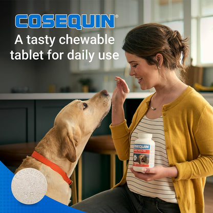 Nutramax Cosequin Joint Supplement, Glucosamine for Dogs, Chew Tabs