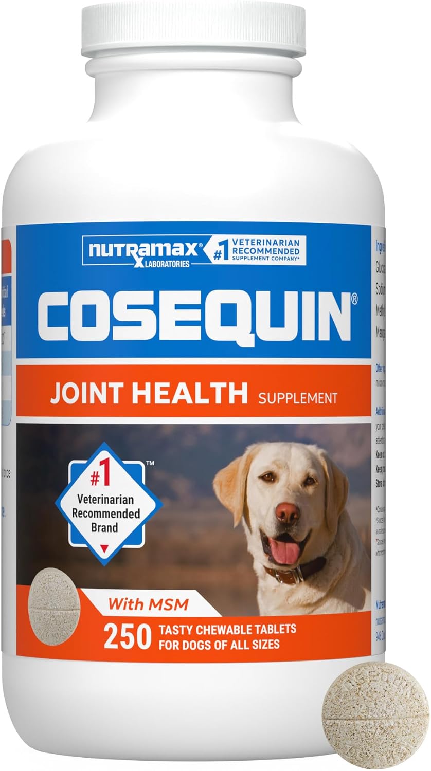 Nutramax Cosequin Joint Supplement, Glucosamine for Dogs, Chew Tabs