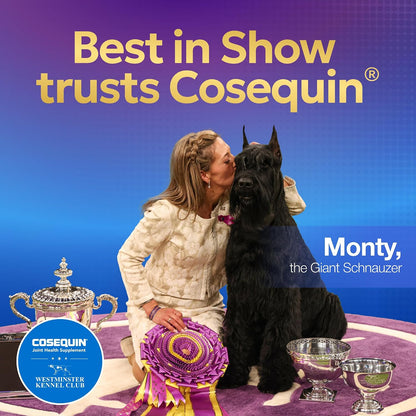 Nutramax Cosequin Joint Supplement, Glucosamine for Dogs, Chew Tabs