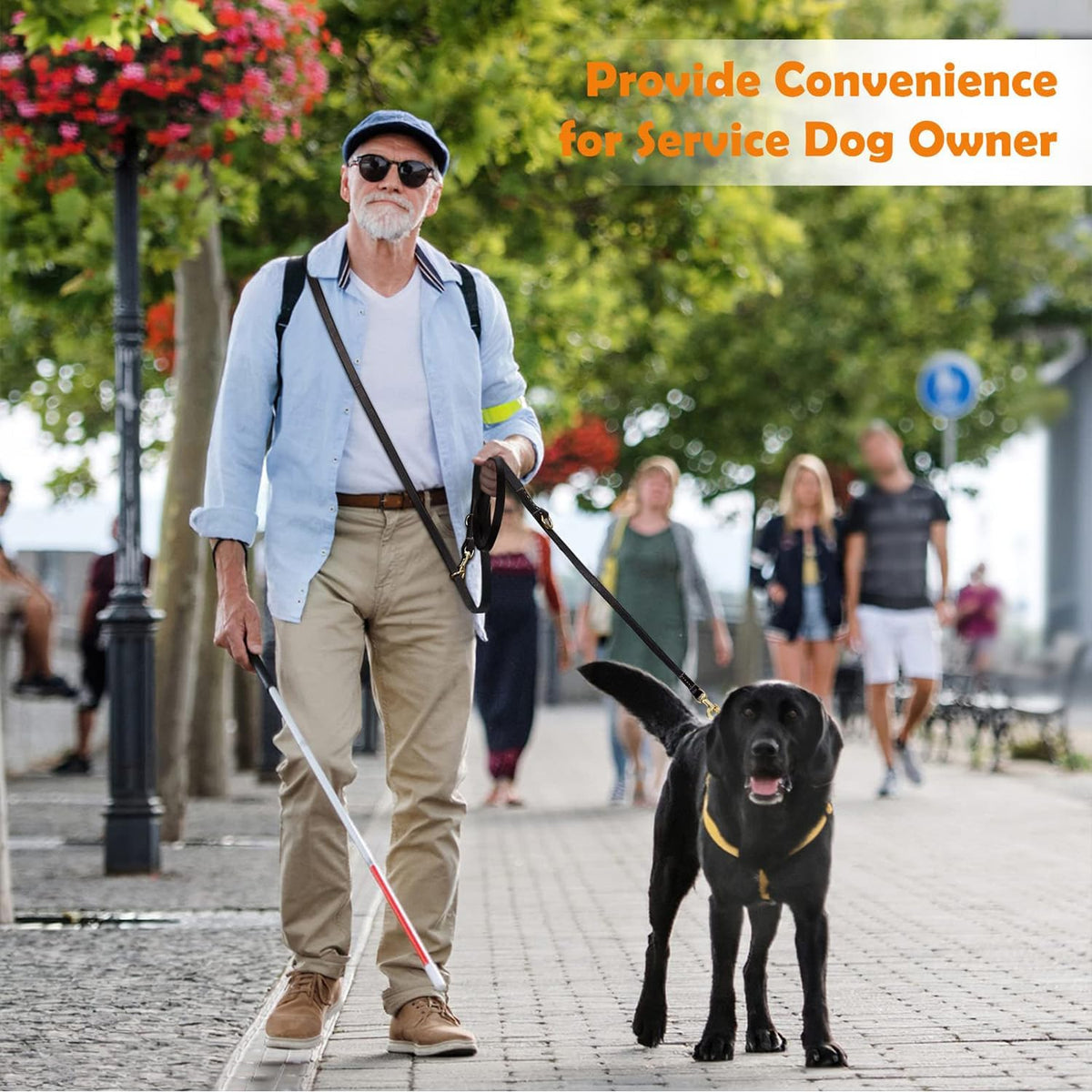 Multi Function 8ft Leather Dog Leash, Genuine Leather Hands Free Leash for Small, Medium and Large Dogs