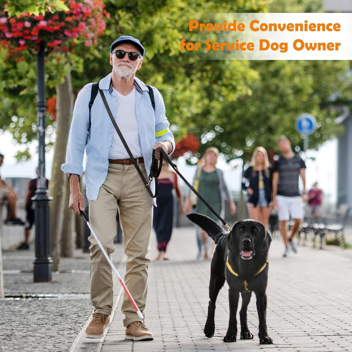 Multi Function 8ft Leather Dog Leash, Genuine Leather Hands Free Leash for Small, Medium and Large Dogs