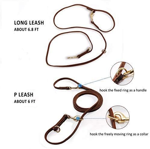 Multi Function 8ft Leather Dog Leash, Genuine Leather Hands Free Leash for Small, Medium and Large Dogs