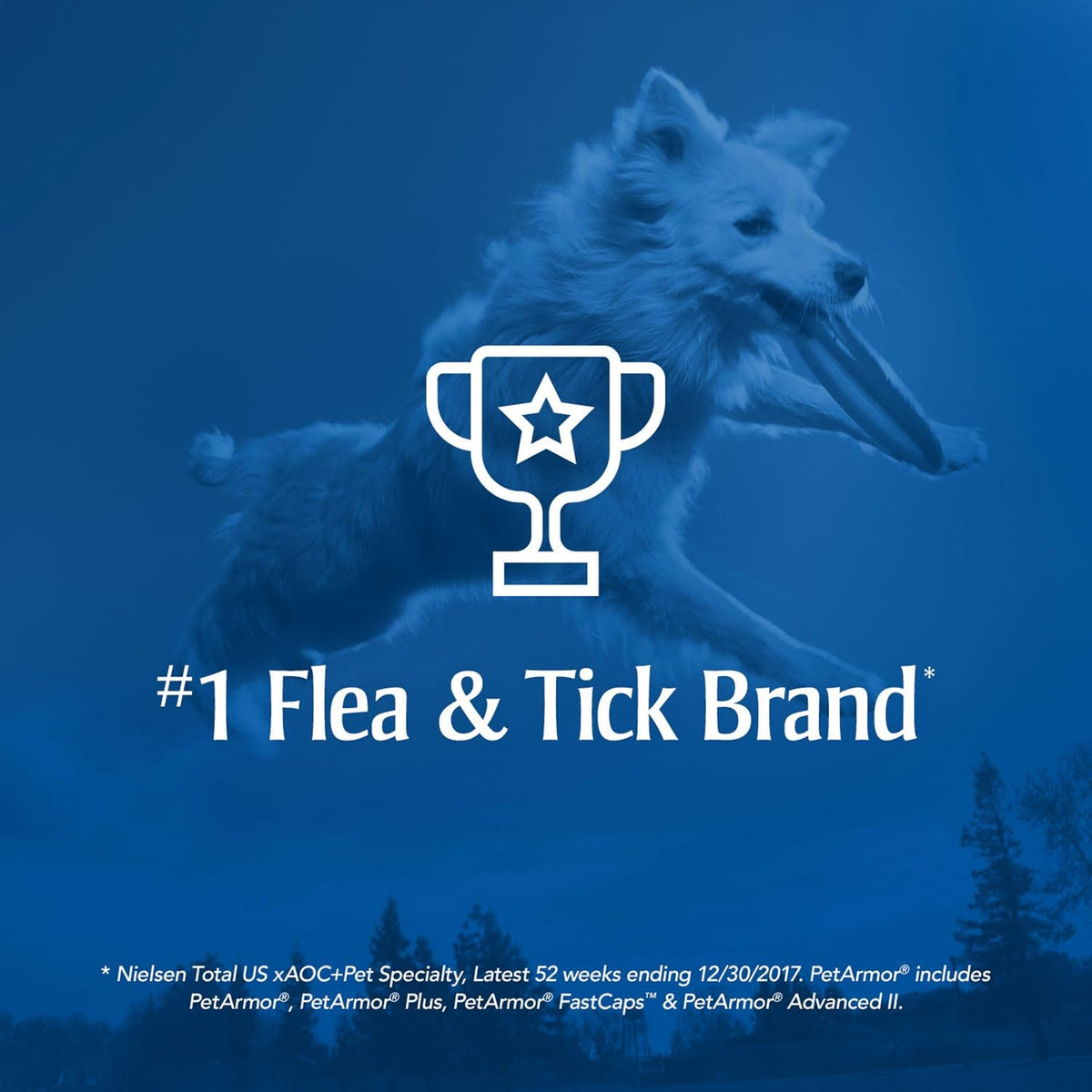 Flea & Tick Topical Dogs 45-88 lbs, Fipronil, 3-Month