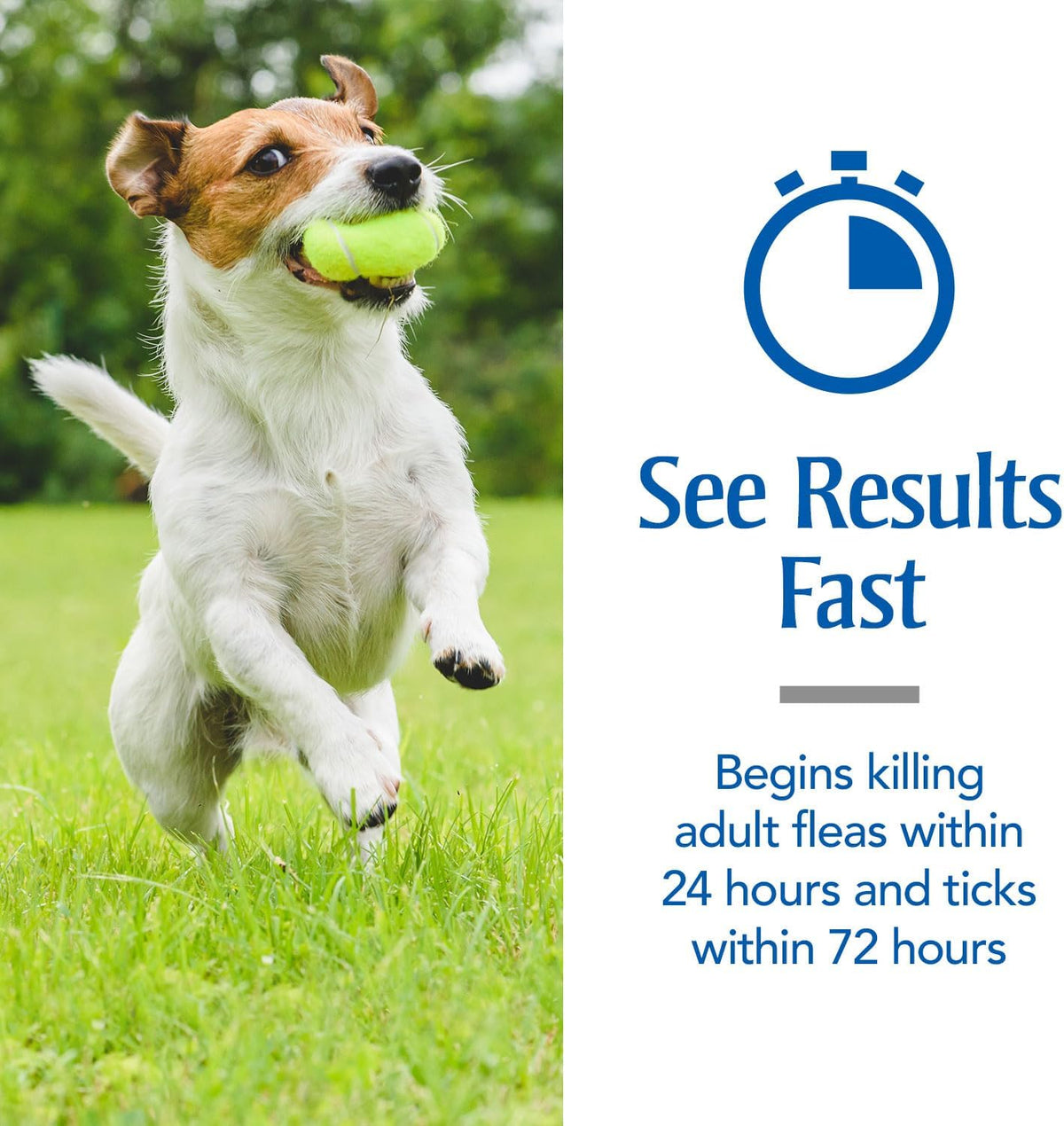 Flea & Tick Topical Dogs 45-88 lbs, Fipronil, 3-Month