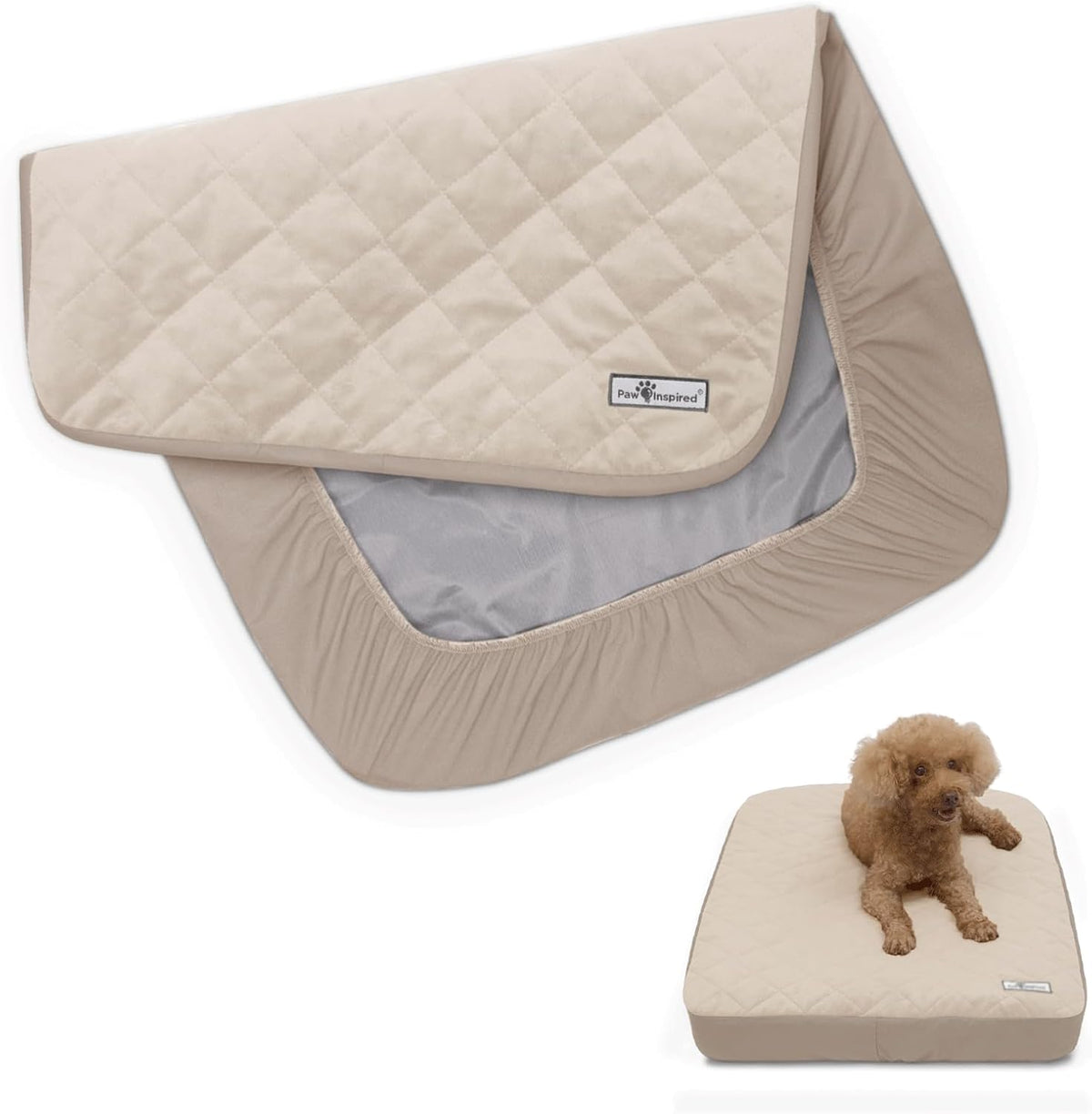 Paw Inspired Washable, Waterproof Fitted Dog Bed Cover, Beige, 34x2x5 Inch | Bed Protector for Dog Mattress, Removable Replacement Cover, For Small to Medium Pet Bed