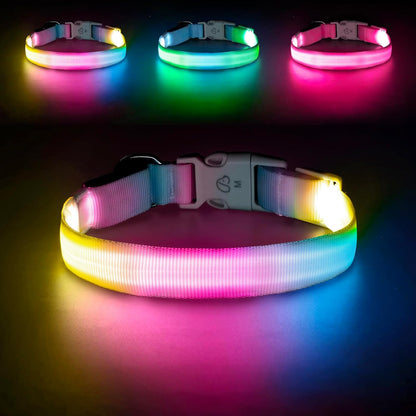 LED Dog Collar, Light Up Dog Collar with RGB Macaron Lighting Mode, Glow in the Dark Dog Collar, Type-C Rechargeable, Waterproof, Super Bright TPU, Battery Display for Small Medium Large Dogs